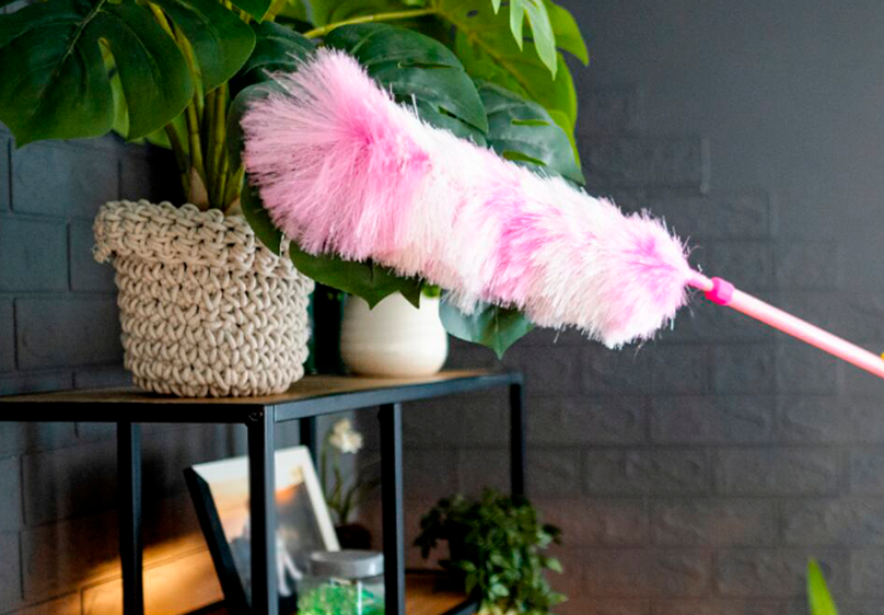 eco-friendly cleaning